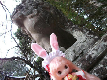 DSCF1535.jpg