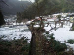 DVC00347.JPG