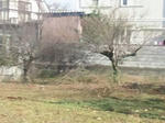 2010120211080000.jpg