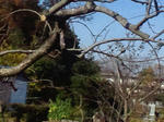 e84f2920.jpg