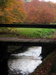 IMG_4634-2.jpg