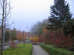 IMG_4527-2.jpg