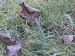 IMG_4795-2.jpg
