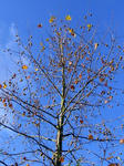 IMG_4770.JPG