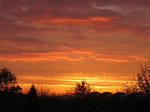 IMG_5161-2.jpg