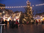 IMG_5684-2.jpg