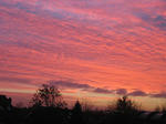 IMG_5293-2.jpg