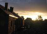 IMG_4384-2.jpg