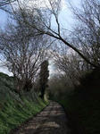 DSCF0305-2.jpg