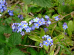 DSCF1249-2.jpg