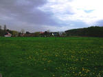 DSCF1250-2.jpg
