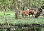 DSCF1254-2.jpg