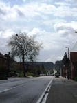 DSCF1137-2.jpg