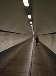 DSCF2607-2.jpg