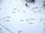 DSCF6735-2.jpg