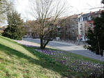 DSCF7439-2.JPG
