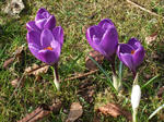 DSCF7441-2.JPG
