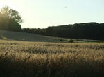 DSCF0826-2.jpg