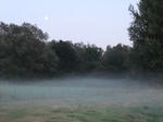 DSCF2182-2.jpg
