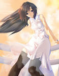 070930b.jpg