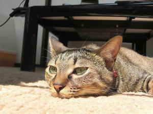 PICT0004.JPG