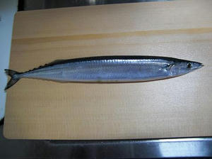 e555d0ef.JPG