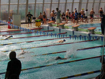 P1010094g.jpg