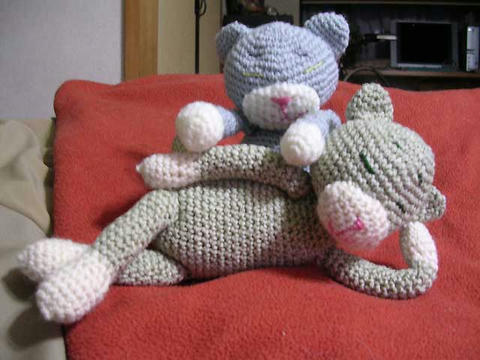 DSCN5127.jpg