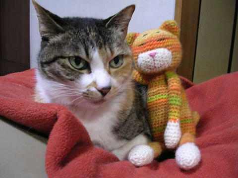 DSCN5306.jpg