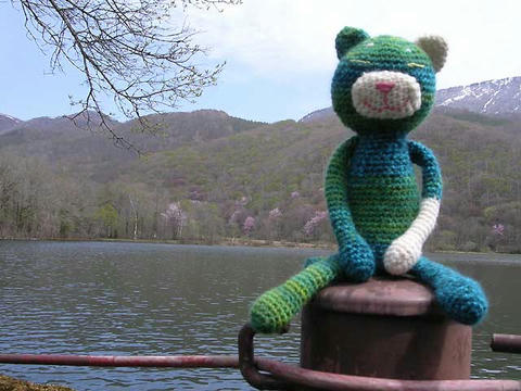 DSCN5197.jpg