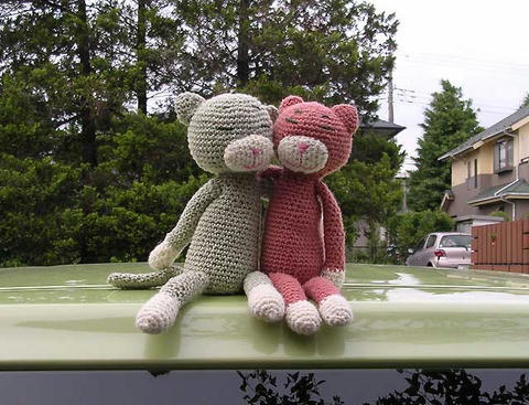 DSCN5370.jpg