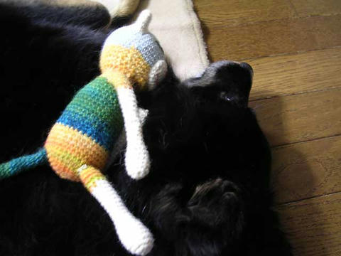 DSCN5423.jpg