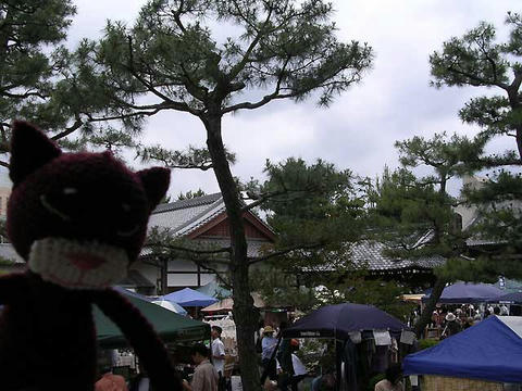 DSCN5497.jpg