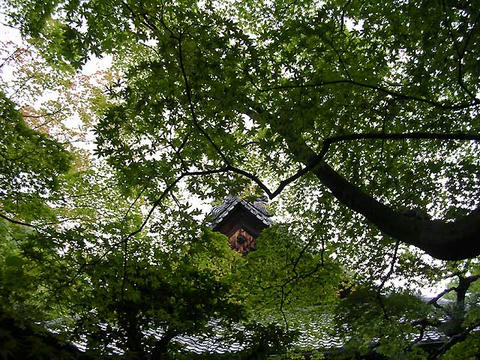 DSCN5503.jpg