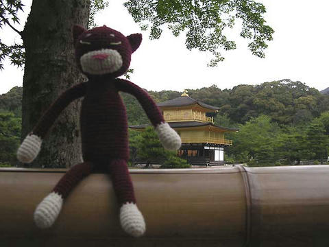 DSCN5510.jpg