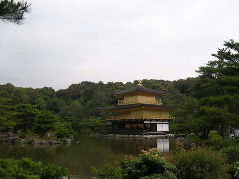 DSCN5511.jpg