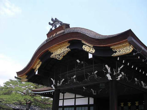 DSCN5522.jpg