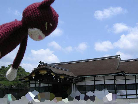 DSCN5523.jpg