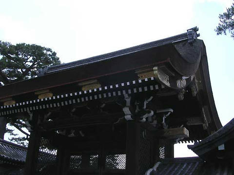 DSCN5527.jpg