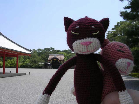 DSCN5529.jpg