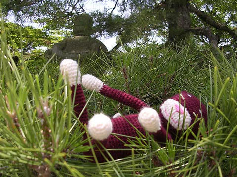 DSCN5535.jpg