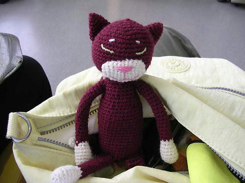 DSCN5554.jpg
