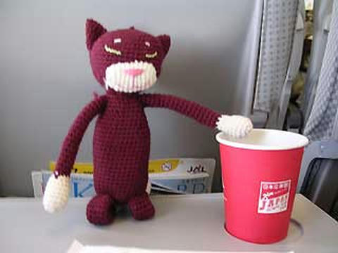 DSCN5560.jpg