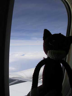 DSCN5561.jpg