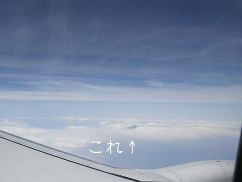DSCN5562.jpg