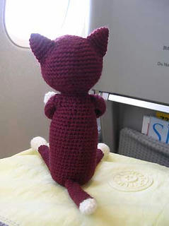 DSCN5569.jpg