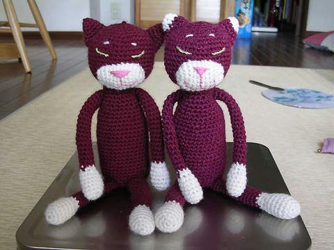 DSCN5684.jpg