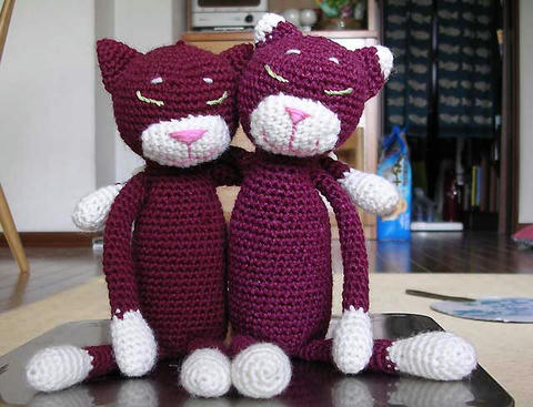 DSCN5686.jpg