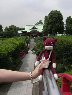 DSCN5738.jpg