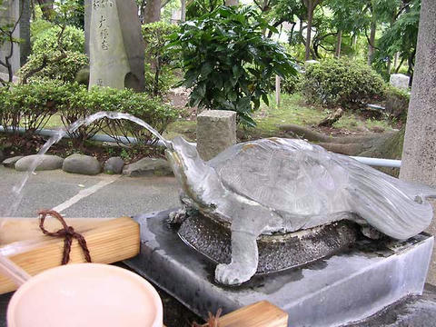 DSCN5742.jpg